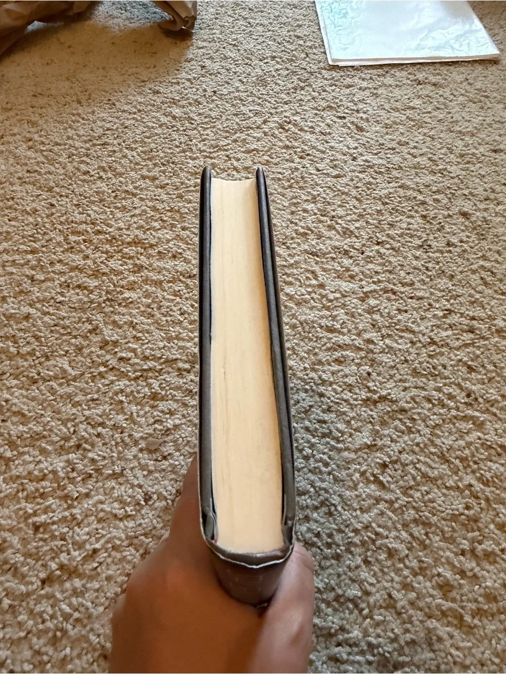 Stay Sexy & Don't Get Murdered by Karen Kilgariff & Georgia Hardstark-Hardcover